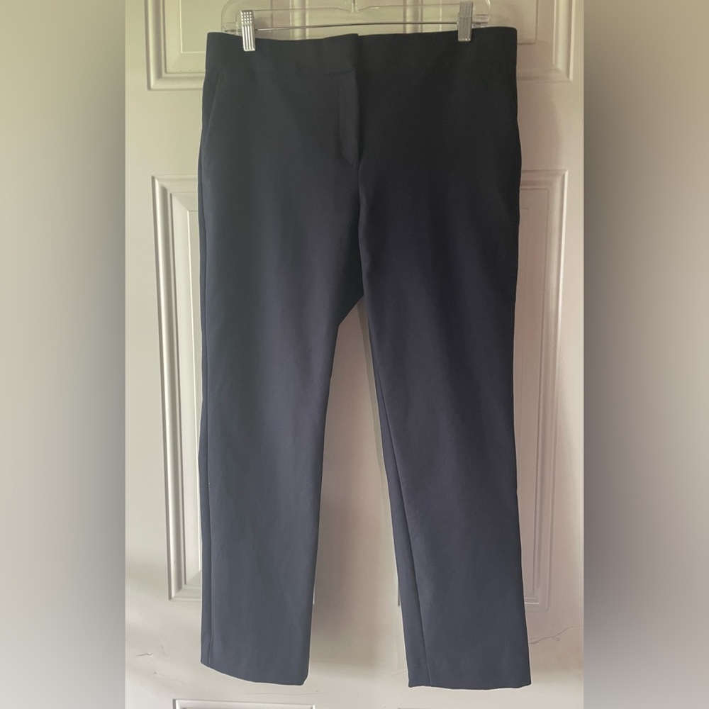 Ann Taylor Women's Navy Blue Cropped Ankle Pant - Devin Fit